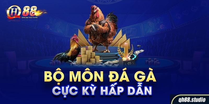 Đá gà là sản phẩm tạo nên sự hấp dẫn sôi động